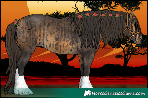 Horse Color:Smoky Black and Buckskin