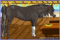 Horse Color:Silver Smoky Black and Smoky Black