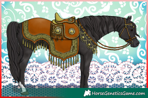 Horse Color:Smoky Black  and Smoky Black 