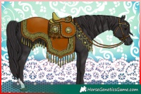 Horse Color:Smoky Black  and Smoky Black 