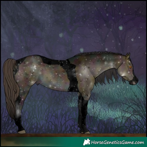 Horse Color:Void Midnight Buckskin Dun Splash Tobiano 