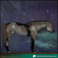 Horse Color:Void Midnight Buckskin Dun Splash Tobiano 