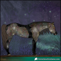 Horse Color:Void Midnight Buckskin Dun Splash Tobiano