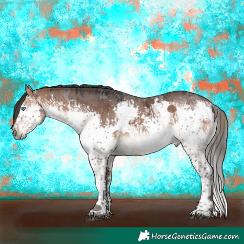 Horse Color:Brown Dun Splash  and Bay Splash 