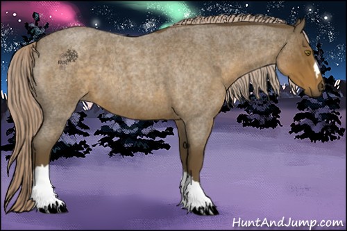 Horse Color:Chocolate Palomino Roan 