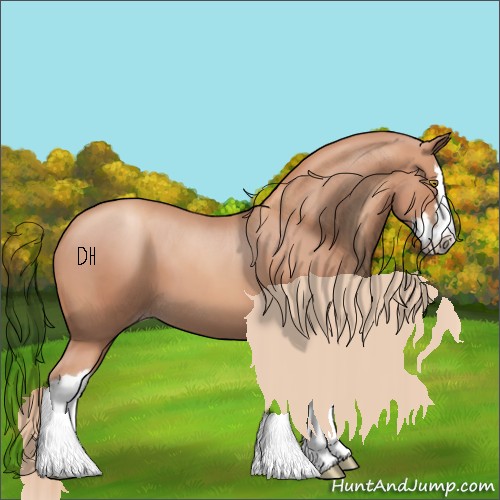 Horse Color:Gold Champagne Splash 