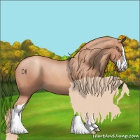 Horse Color:Gold Champagne Splash 