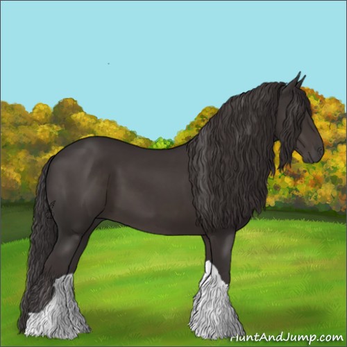 Horse Color:Smoky Black Tobiano Appaloosa 