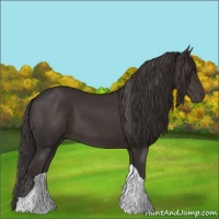 Horse Color:Smoky Black Tobiano Appaloosa