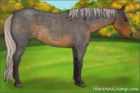 Horse Color:Silver Smoky Blue Roan 
