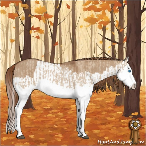 Horse Color:Red Dun Splash  and Red Dun Splash 