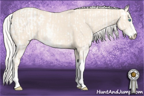 Horse Color:Cremello Sabino  and Cremello Sabino 