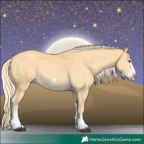 Horse Color:Palomino Dun Splash Frame 