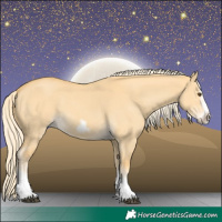 Horse Color:Palomino Dun Splash Frame