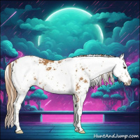 Horse Color:Chestnut Sabino 