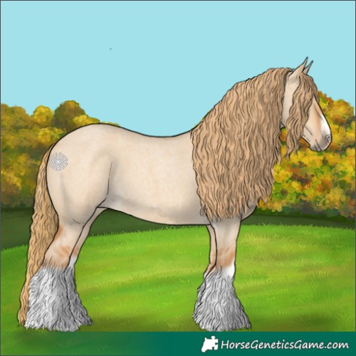 Horse Color:Red Dun Roan Splash Frame Rabicano 