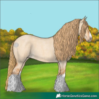 Horse Color:Red Dun Roan Splash Frame Rabicano 