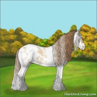 Horse Color:Red Dun Sabino 