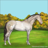 Horse Color:White Spotted Sable Champagne Dun Sabino 