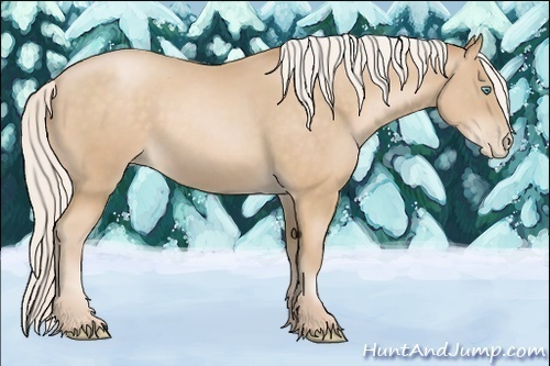 Horse Color:Silver Buckskin Pearl 