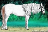 Horse Color:Bay Tobiano Appaloosa 