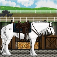 Horse Color:Silver Smoky Creme Dun 