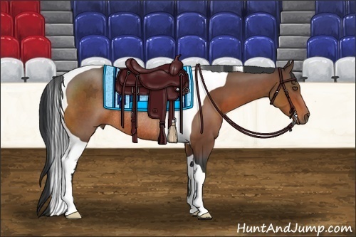Horse Color:Bay Tobiano Rabicano