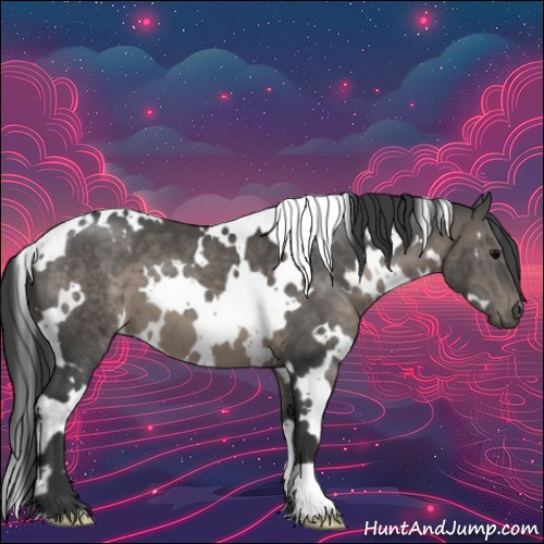 Horse Color:White Spotted Black 
