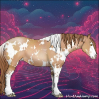 Horse Color:White Spotted Brown Pearl Sabino 