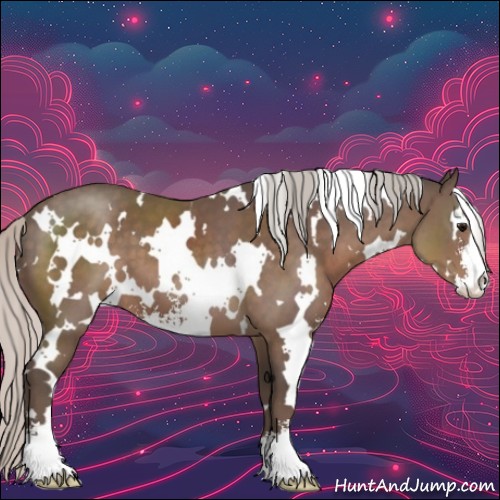 Horse Color:White Spotted Silver Black Sabino