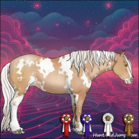 Horse Color:White Spotted Silver Bay Pearl Sabino
