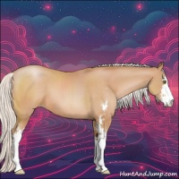 Horse Color:Silver Brown Pearl Sabino 