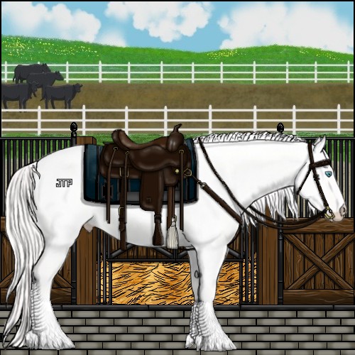 Horse Color:Cremello Dun 