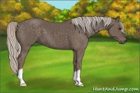 Horse Color:Silver Black 