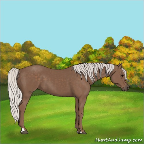 Horse Color:Silver Black