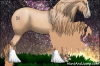 Horse Color:Gold Champagne Splash 