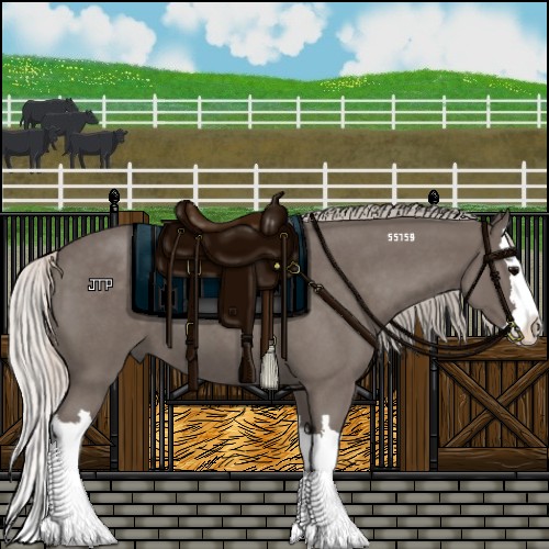 Horse Color:Silver Blue Roan Splash 