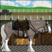 Horse Color:Silver Blue Roan Splash 