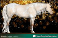 Horse Color:White Spotted Silver Brown Pearl Dun