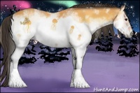 Horse Color:White Spotted Buckskin Onyx Sabino Frame