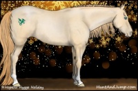 Horse Color:Buckskin Pearl Rabicano 