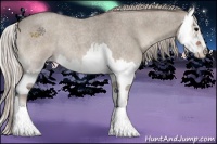 Horse Color:Silver Grullo Roan Onyx Sabino Splash