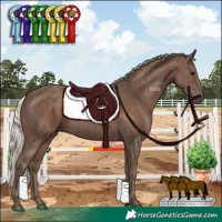 Horse Color:Silver Black and Silver Black
