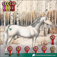 Horse Color:Silver Smoky Blue Roan Pearl 