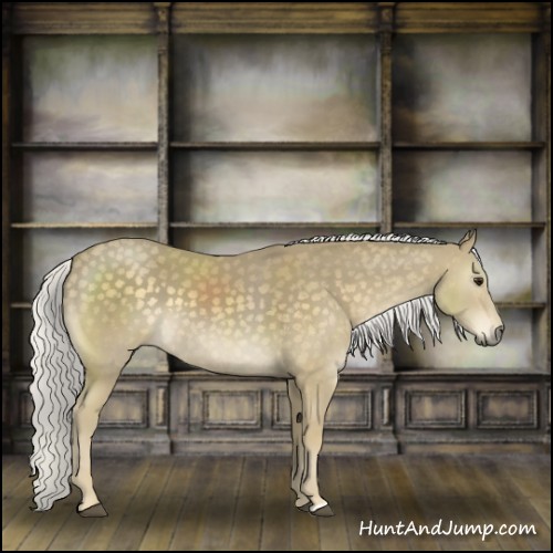 Horse Color:Silver Smoky Black Mushroom 