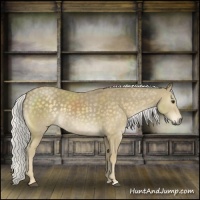Horse Color:Silver Smoky Black Mushroom