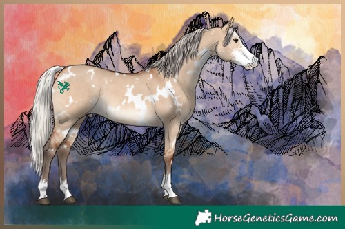 Horse Color:White Spotted Silver Bay Dun Sabino Rabicano 
