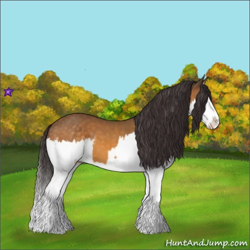 Horse Color:Buckskin Splash  and Buckskin Splash 