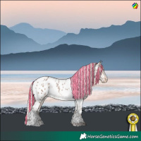 Horse Color:Painted Silver Brown Ice Dun Tobiano Appaloosa Rabicano 