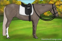 Horse Color:Silver Black 